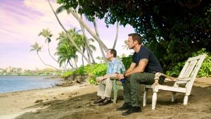 Hawaii 5.0 Odcinek 7