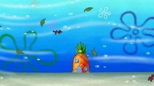 SpongeBob Kanciastoporty Sam