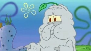 SpongeBob Kanciastoporty Coś