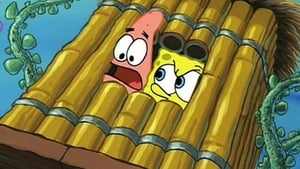 SpongeBob Kanciastoporty Klub SpongeBoba
