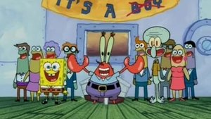 SpongeBob Kanciastoporty Wielorybie urodziny