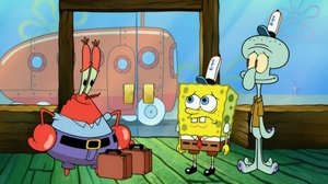 SpongeBob Kanciastoporty Programy wymiany kucharzy
