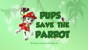 Psi Patrol Pieski ratują papugę