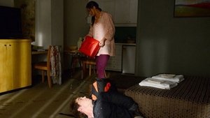 Home and Away Odcinek 234
