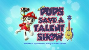Psi Patrol Pieski ratują pokaz talentów