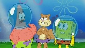 SpongeBob Kanciastoporty Pchła pod kopułą