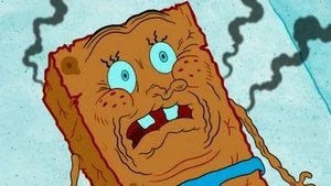 SpongeBob Kanciastoporty Wybielony słońcem