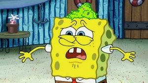 SpongeBob Kanciastoporty Nasz przyjaciel grzyb