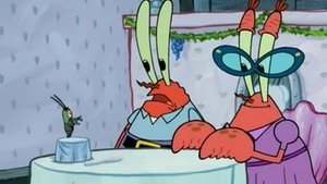 SpongeBob Kanciastoporty Teść – wróg