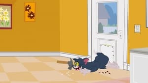 Tom i Jerry Show Odcinek 15