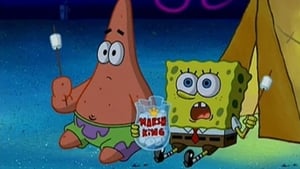 SpongeBob Kanciastoporty Biwak w dziczy