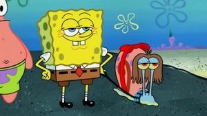 SpongeBob Kanciastoporty Pielęgnacja