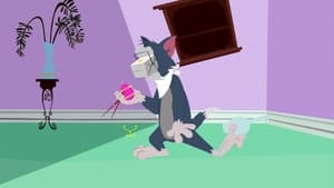 Tom i Jerry Show Odcinek 11