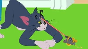 Tom i Jerry Show Odcinek 23