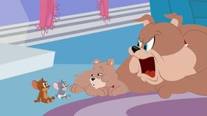 Tom i Jerry Show Odcinek 47