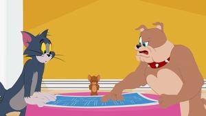 Tom i Jerry Show Odcinek 43