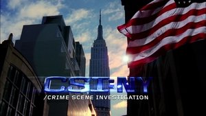CSI: Kryminalne zagadki Nowego Jorku Odcinek 3