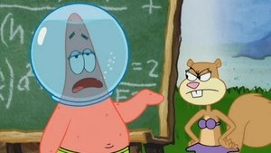 SpongeBob Kanciastoporty Patryk Bystroporty