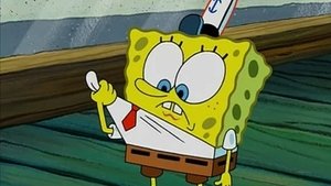 SpongeBob Kanciastoporty Zapodziana tożsamość