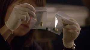 CSI: Kryminalne zagadki Nowego Jorku Odcinek 5