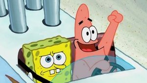 SpongeBob Kanciastoporty Łzy kierowcy