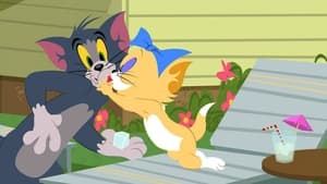 Tom i Jerry Show Odcinek 27