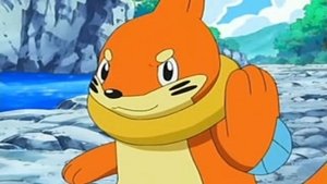 Pokémon Polowanie na Buizela