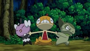 Pokémon Scraggy i zaborcza Gothita!