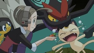 Pokémon Święto Komety Bohatera!