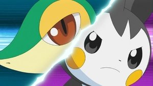 Pokémon Emolga i nowa Elektrozmiana!