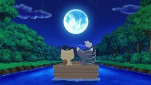 Pokémon Zakochany Meowth!
