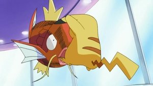 Pokémon A my żądamy ewolucji!
