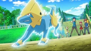 Pokémon Czesanie Furfrou!