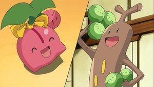 Pokémon Słodko-gorzka bitwa