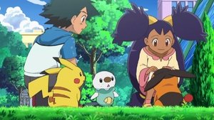 Pokémon Klub Bitew Pokémonów i wybór Tepiga!