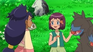 Pokémon Powrót do Wioski!
