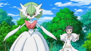 Pokémon Więzi ewolucji!