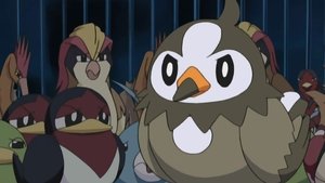 Pokémon Narodziny Staravii