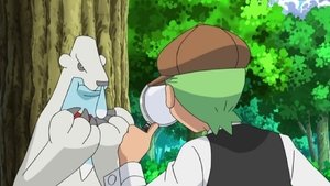 Pokémon Tajemnica zaginięcia Cubchoo!
