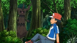 Pokémon Budowanie leśnych przyjaźni!