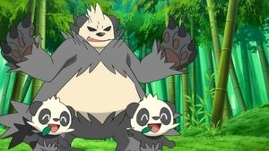 Pokémon Przygoda w bambusowym lesie!