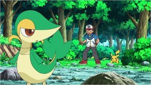 Pokémon Snivy, która nie chciała dać się złapać!