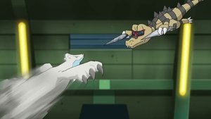 Pokémon Chłodne zaproszenie do Bitwy!