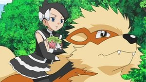 Pokémon Zostań w szczytowej formie!