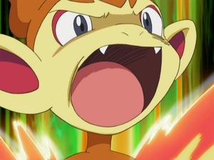 Pokémon Blask zwycięstwa