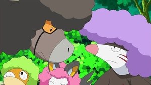 Pokémon Kłopoty z Bouffalantami!
