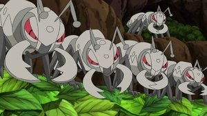 Pokémon Bitwa ze Złodziejami Liści!