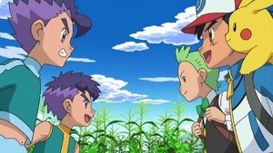 Pokémon Mistrzowie od Dwuwalk!