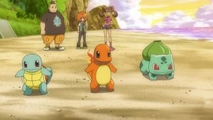 Pokémon Bitwy o Galerię Sław!