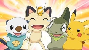 Pokémon Niebezpieczeństwo słodkie niczym miód!